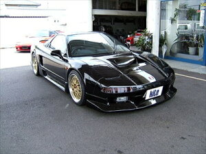 NSX tgn[tX^CX|C[