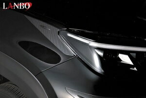 XNX MXPJ/MXPB1# LANBO wbhCggK[jbV J[{