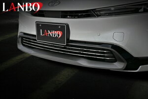 60n vEX LANBO tgAO_NgK[jbV N[Vo[