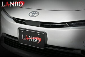 60n vEX LANBO tgO_NgJo[ J[{