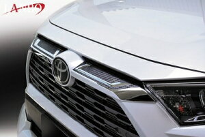 50n RAV4 LANBO tgOAbp[K[jbV