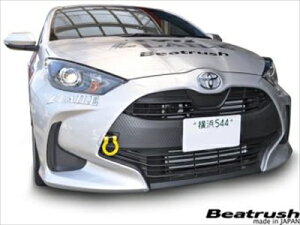 MXPA10/MXPH10 X tbN XCO^Cv tg CG[