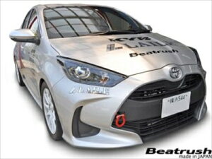 MXPA10/MXPH10 X tbN XCO^Cv tg bh