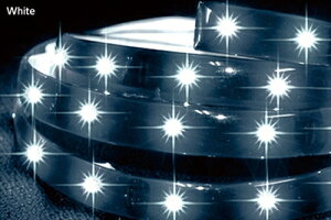 12Vp Px LEDe[v F900mm LEDF45 J[FzCg