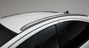 ANA NHP10  LX[t[ h Vo[