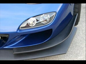 [i FD3S tgop[pJi[h TypeGT FRP hς