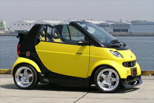 SMART FORTWO COUPE 450(ܖ) tgbvX|C[ typeI
