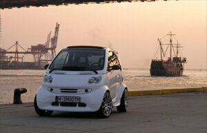 SMART FORTWO COUPE 450(ܖ) tgbvX|C[ typeII ht