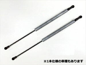 [hX^[ ND5RC {lbg_p[ Vo[J[{ ԌؕKv