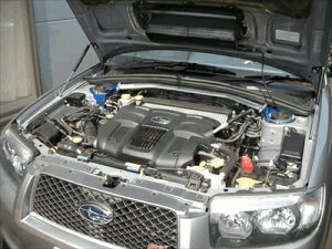 tHX^[ SG5 {lbg_p[ Vo[J[{ ԌؕKv