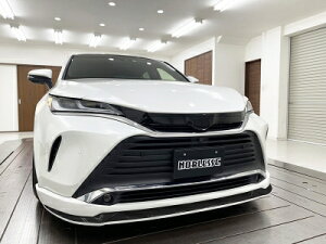 nA[ 80n tg}[NXLbg [J[hh 219 vVXubNp[/K^ t