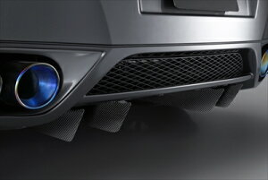 GT-R R35 AfBt[U[tBZbg 08-10Yp
