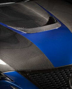 LEXUS RC F O USC10 N[O VORTEX WFl[^[ FRPiꕔJ[{j hς