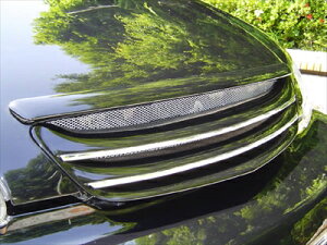 IfbZC (RA-1.2.3.4) tgO ht