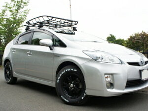 ZVW30 vEX MAX40 tgAbvubNLbg