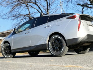 ZVW50/51/55 vEX MAX40 tgAbvubNLbg