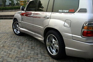 hN[U[ 100n tF_[tA[ hς