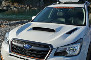 tHX^[ SJ5 KADDIS GA{lbg hς