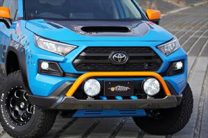 RAV4 50n Ahx`[p KADDIS t@Co[veNV