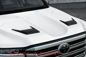 LAND CRUISER hN[U[ 300 ROJAM {lbg_Ng ht