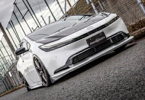 60 vEX tgbvX|C[ FRP h