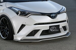 C-HR O ZYX10/NGX50 tgX|C[ nCO[h/fn [i ht