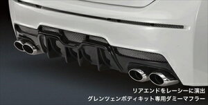 vEX ZVW30 O GLANZEN {fBLbgp_~[}t[