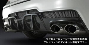 vEX ZVW30 O GLANZEN {fBLbgp}t[ Zp