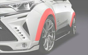 C-HR O ZYX10/NGX50 I[o[tF_[ PFh/fBAgO[^bN(6W9)