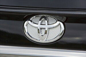 At@[h (20W/25W) AJ[{GufR[V Vo[