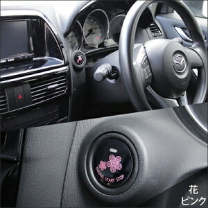 Ft@CA 20 vbVX^[g{^Jo[ ԃsN