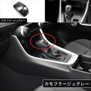 RAV4 50n Vtgmupl Jt[WO[