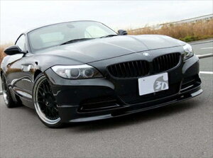 Z4/E89 tgbvX|C[ hς