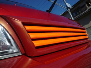 nC[bggbN S201P NOVEL tgO