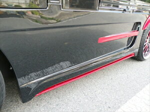 nC[bggbN S201P Novel]SP TChXebv