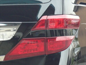 Ft@CA 20n e[vJo[ bh (UPLOW) Op