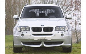 BMW X3 E83 tgX|C[