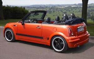 BMW MINI R52 Aop[XJ[g hς