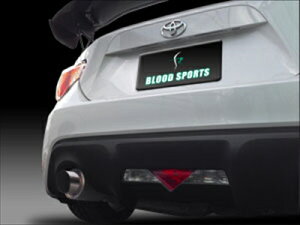 86 ZN6 BLOOD SPORTS I[XeX}t[