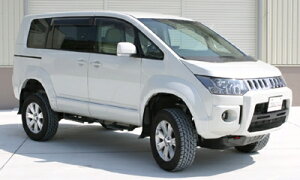 �f���J D:5 ���f�B�t�@�C�h�@�I�[�o�[�t�F���_�[ ���[���J���[ �x�[�W�� �h���ς�