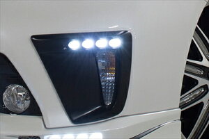 vEX 30n  RR tg_NgJo[ LEDX|bg FRP h