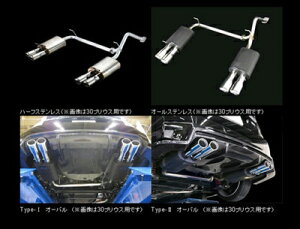 vEXAt@ 40n PREMIUM 01S 4{o I[XeX Type-II e[XCh