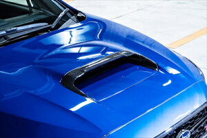 WRX STI/S4  VAB/VAG 2017.6` {lbg_NgGNXeV Wet Carbon