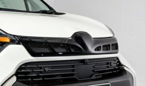 MXP 10n VG^ }[NXO [J[PFhi