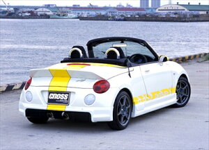 Ry L880K CROSS AA_[X|C[