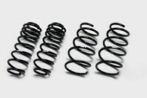 AXZH10 NTX ES 300h RtH[g [_EXvO