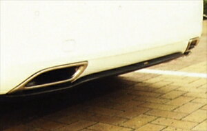 LEXUS LS460 AA_[fBt[U[ hς