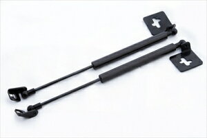 �X�J�C���C�� GT-R BNR34 �{���l�b�g�_���p�[ �����{���l�b�g�p