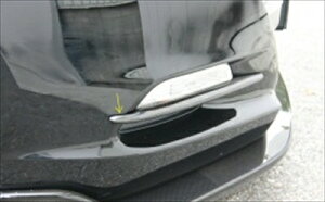 CTCg ZE2 _NgtB/FRP ht