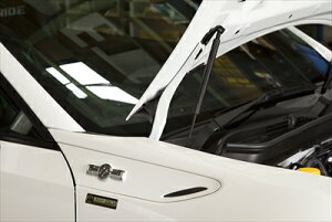 BRZ ZC6 {lbg_p[ {lbgp